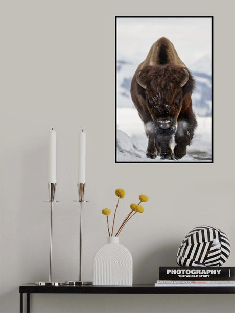 Bison Incoming Poster och Canvastavla
