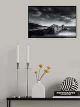 Nautilus Poster och Canvastavla