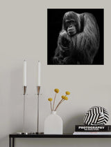 Hey, I am here. Poster och Canvastavla