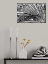 Caracola Toyo Ito Poster och Canvastavla