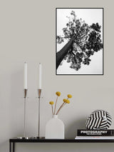 Japanese Garden 02 Poster och Canvastavla