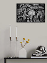 Guiné Poster och Canvastavla
