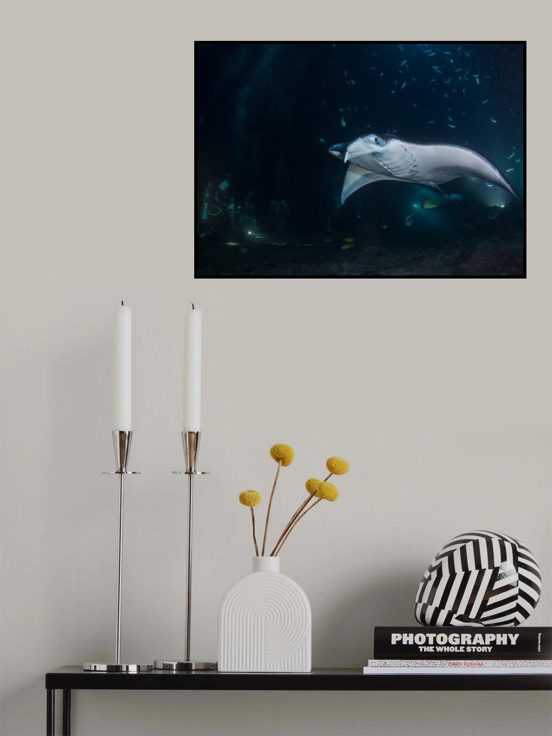 Manta Jet coming Poster och Canvastavla