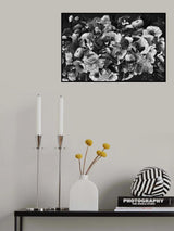 Ruby's Dream Black &amp; White Poster och Canvastavla