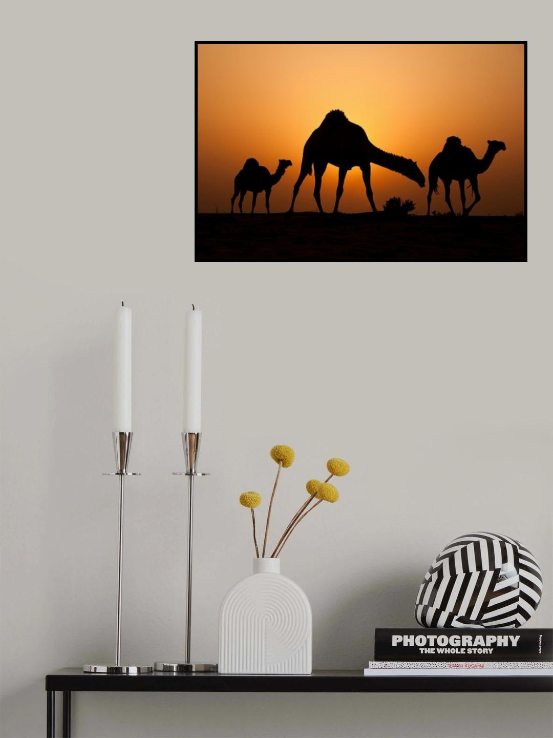 The Desert Ship Poster och Canvastavla