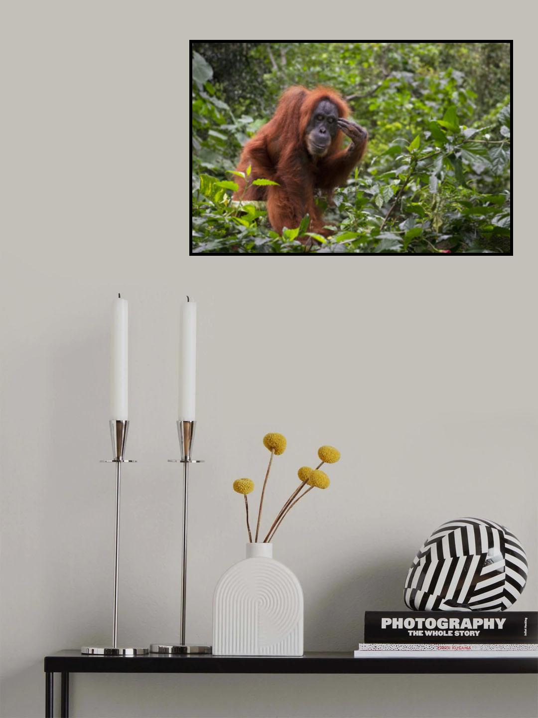 Cogito ergo sum Poster och Canvastavla