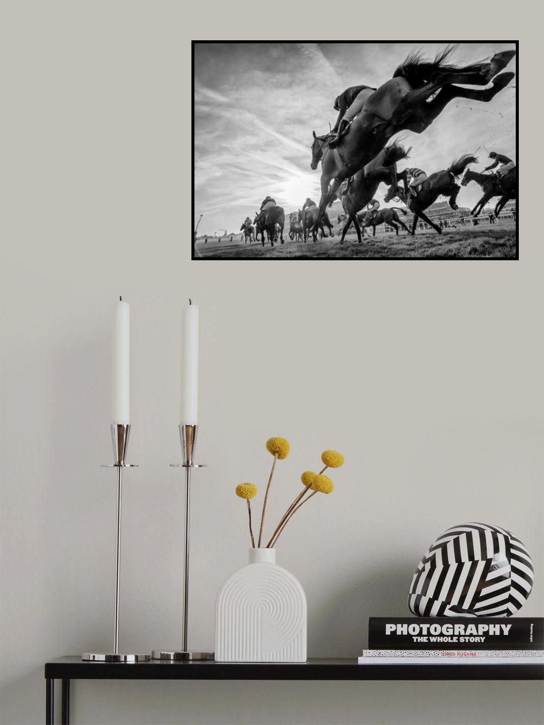 Cheltenham Jumps Festival Poster och Canvastavla