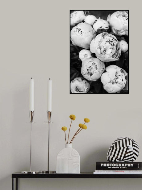 Peonies Poster och Canvastavla