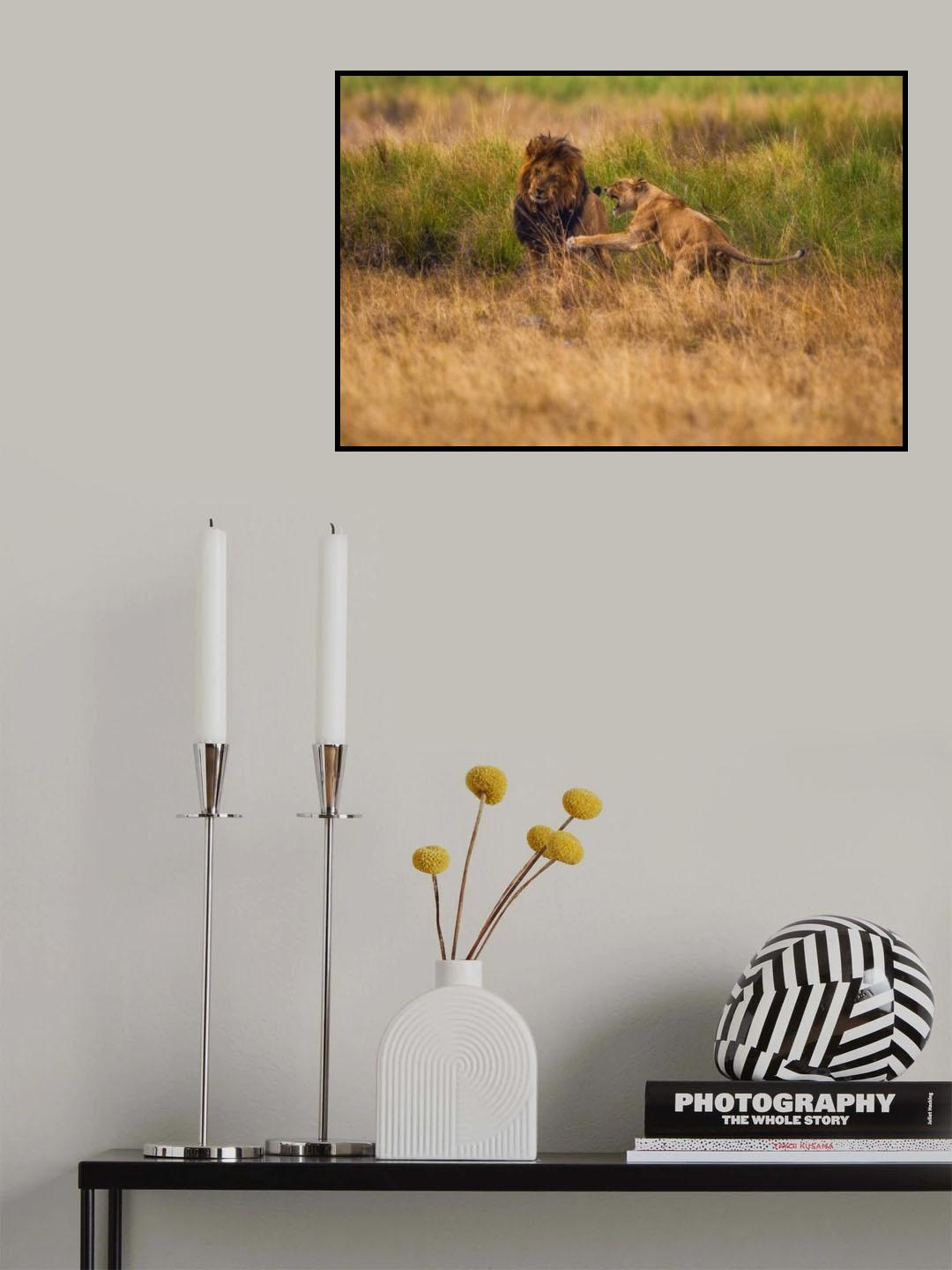 Boss of the house! Poster och Canvastavla