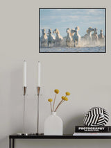 Angels of Camargue Poster och Canvastavla
