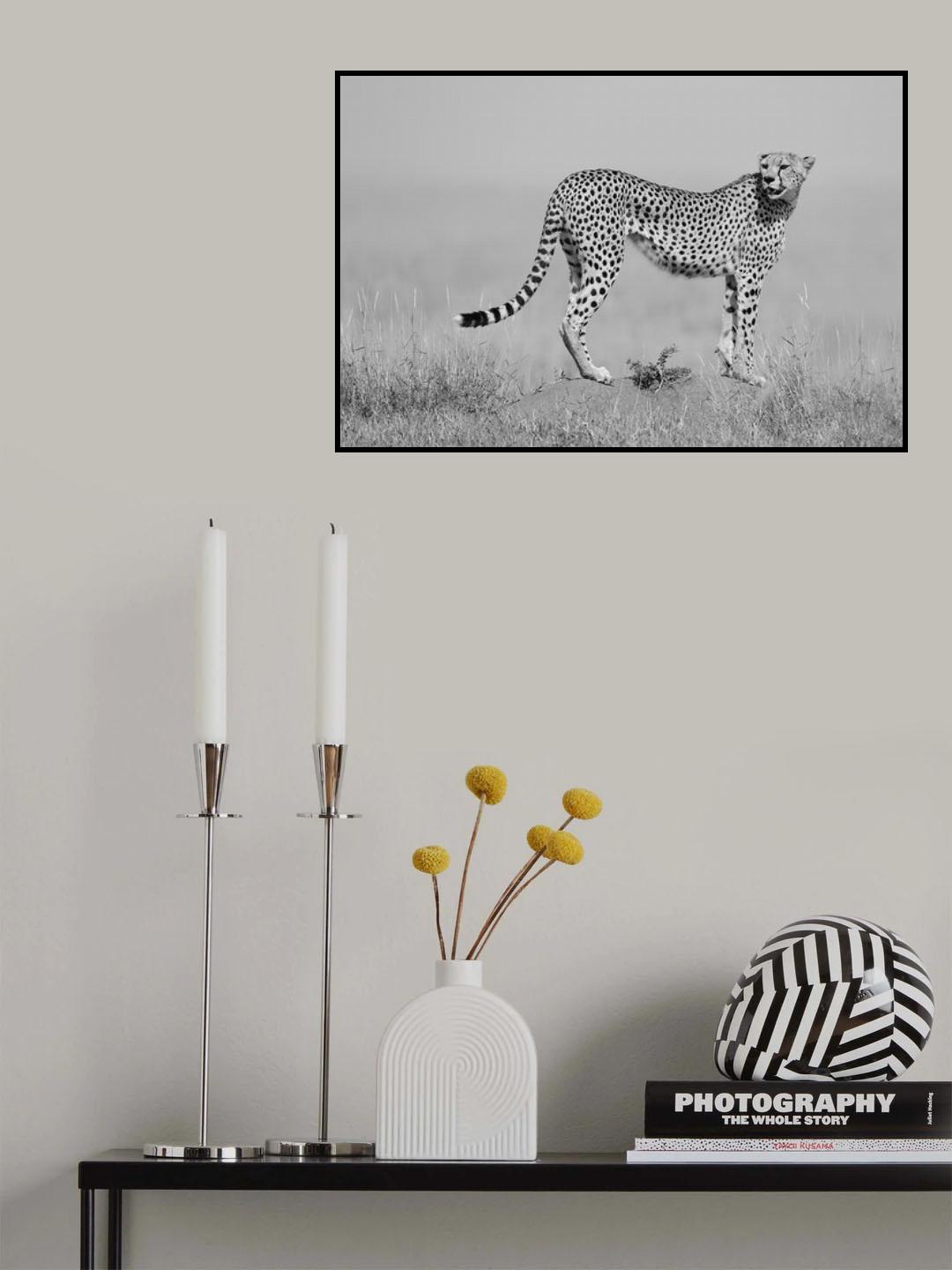 elegance in B&amp;W Poster och Canvastavla