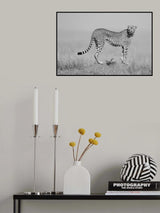 elegance in B&amp;W Poster och Canvastavla