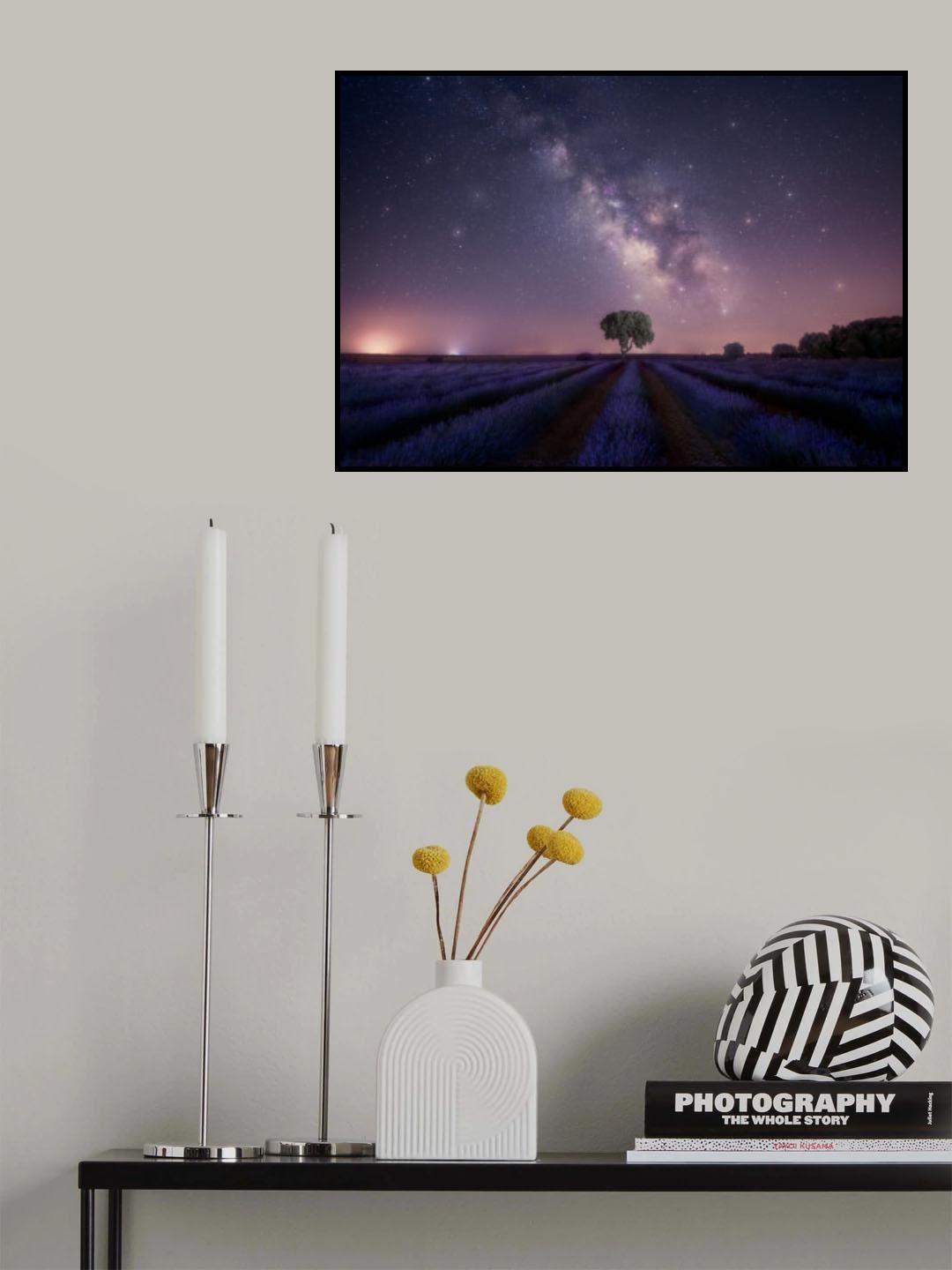 Lavender fields nightshot 2 7R27337 Poster och Canvastavla