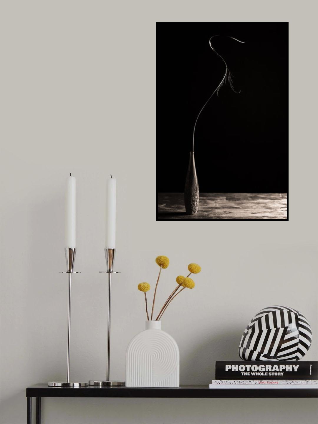 Curve II Poster och Canvastavla