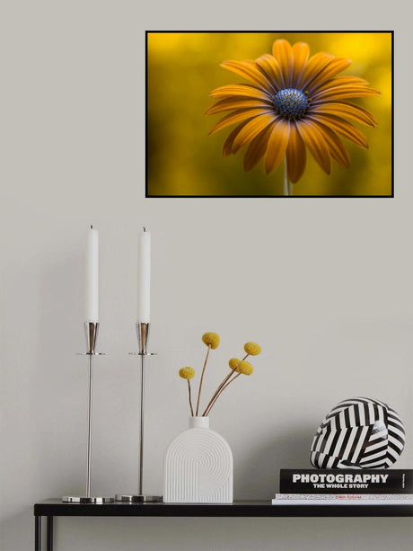 Sunshine Daisy Poster och Canvastavla