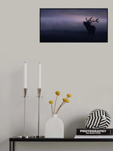 Stag in misty morning Poster och Canvastavla