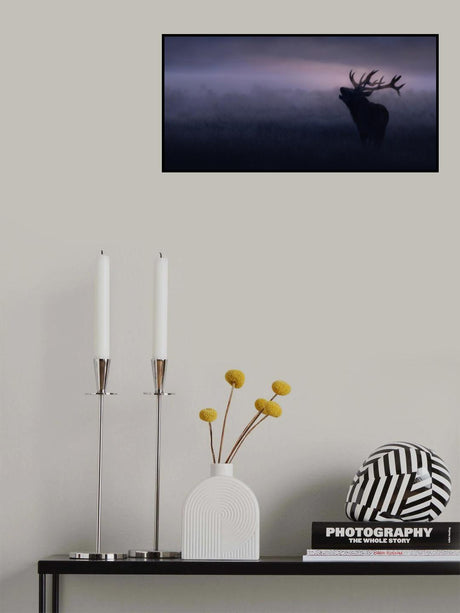 Stag in misty morning Poster och Canvastavla