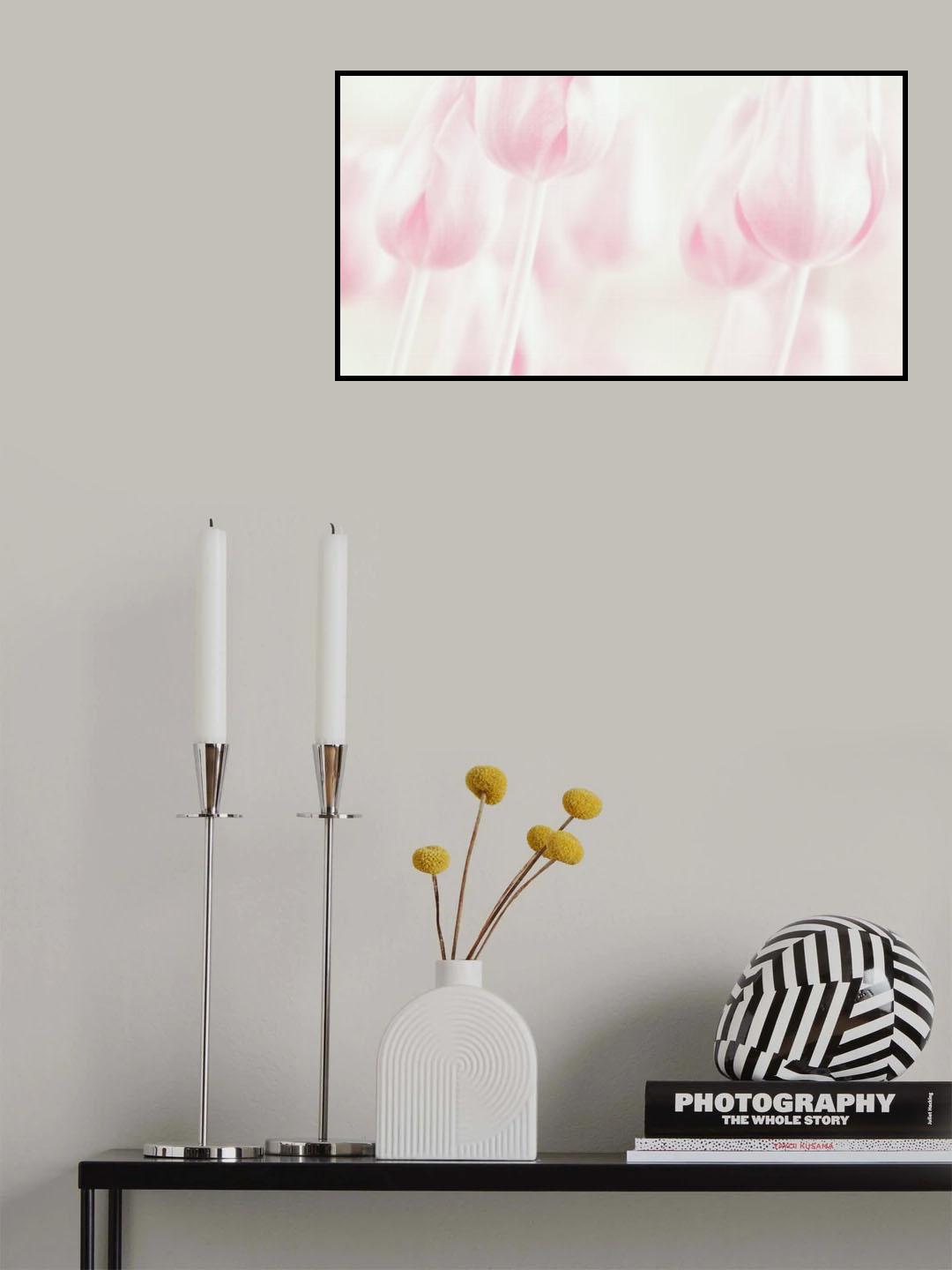 Softness Poster och Canvastavla