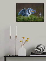 Heron with chick Poster och Canvastavla