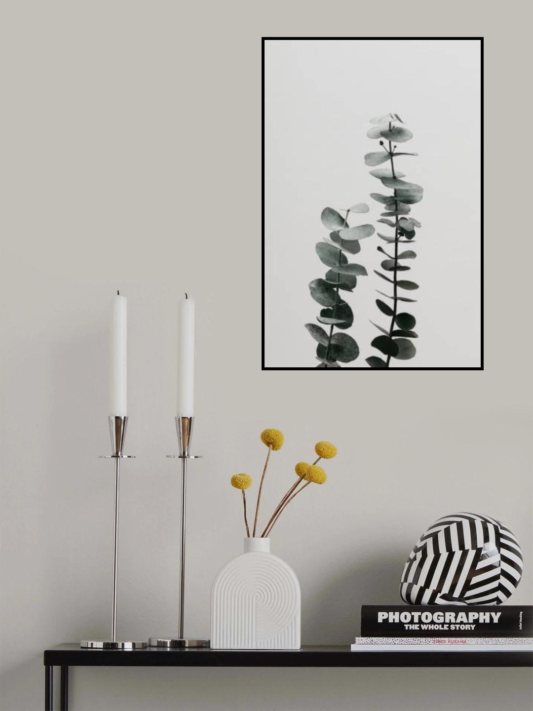 Eucalyptus Natural 03 Poster och Canvastavla