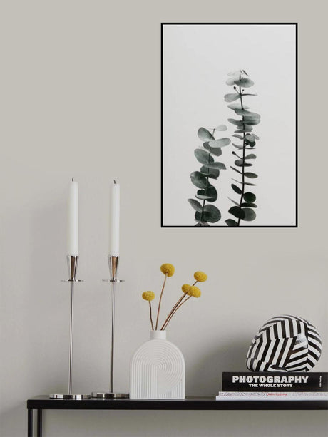 Eucalyptus Natural 03 Poster och Canvastavla