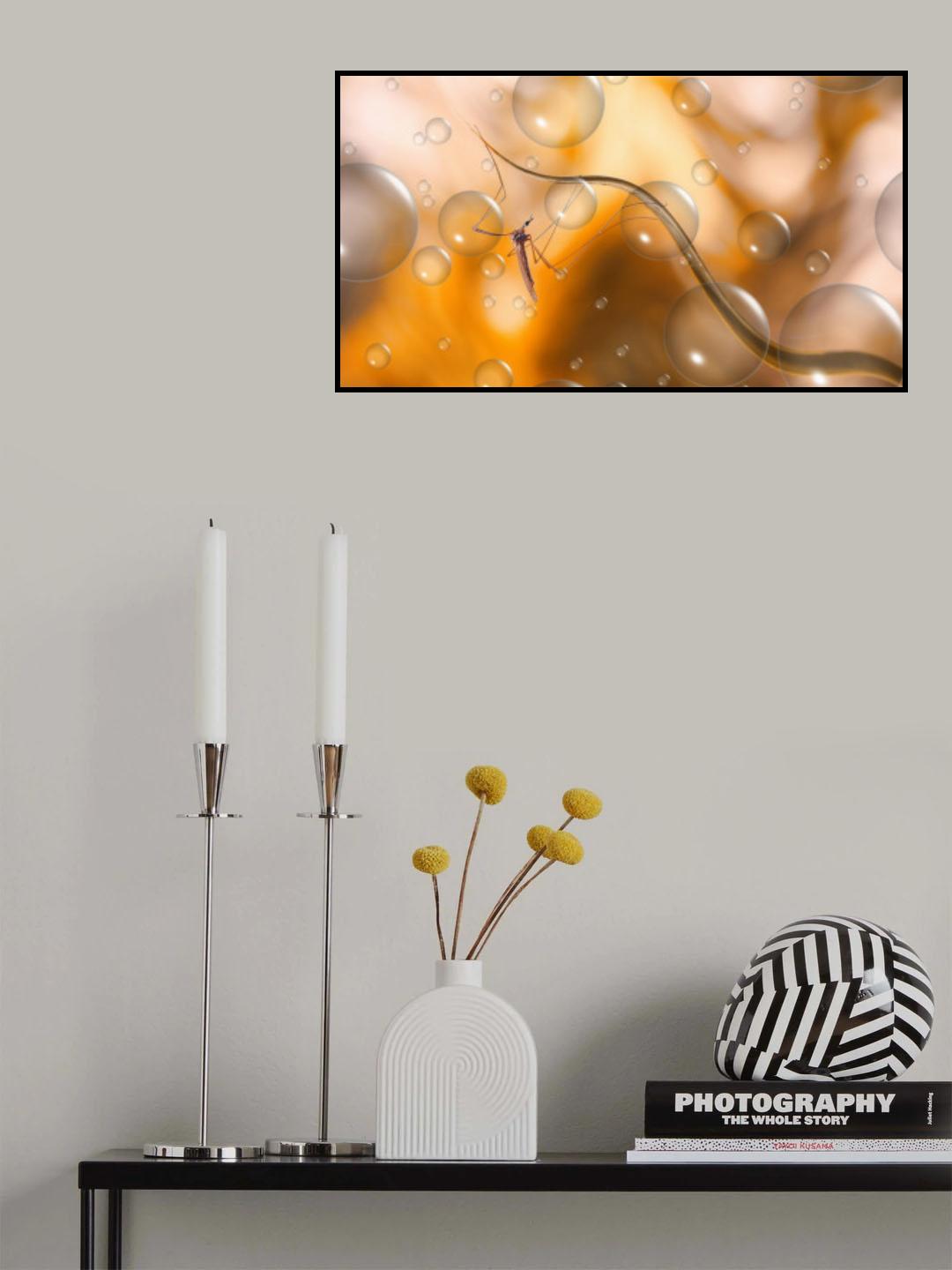 Adventurer... Poster och Canvastavla