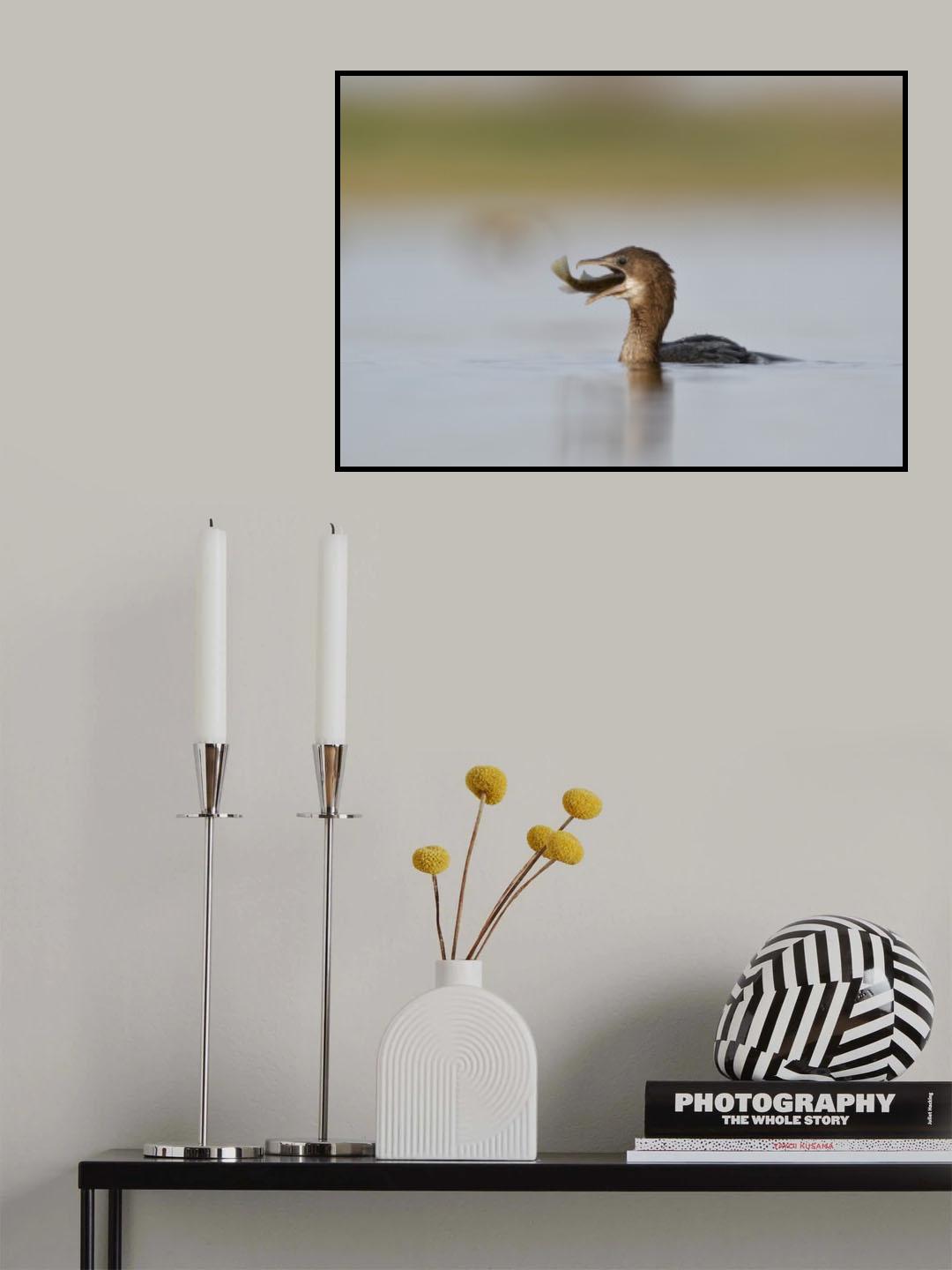 Poster och Canvastavla