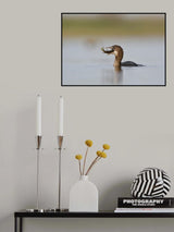 Poster och Canvastavla