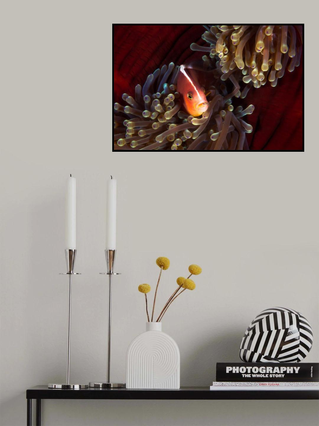 A teat in the mouth Poster och Canvastavla