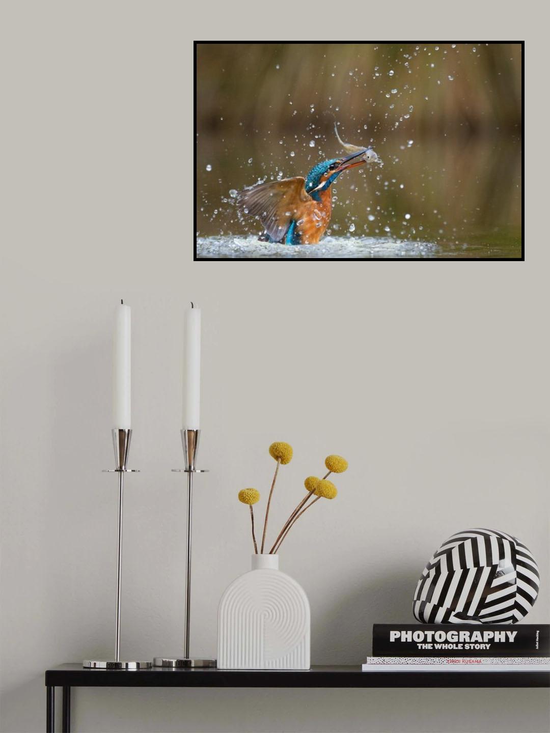 Rising from the waters Poster och Canvastavla