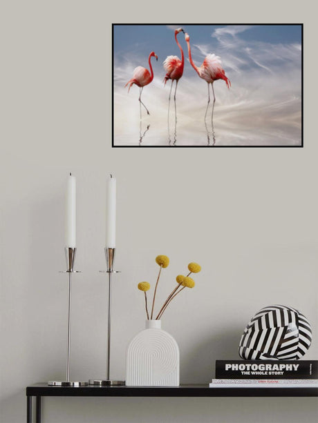 ... Poster och Canvastavla