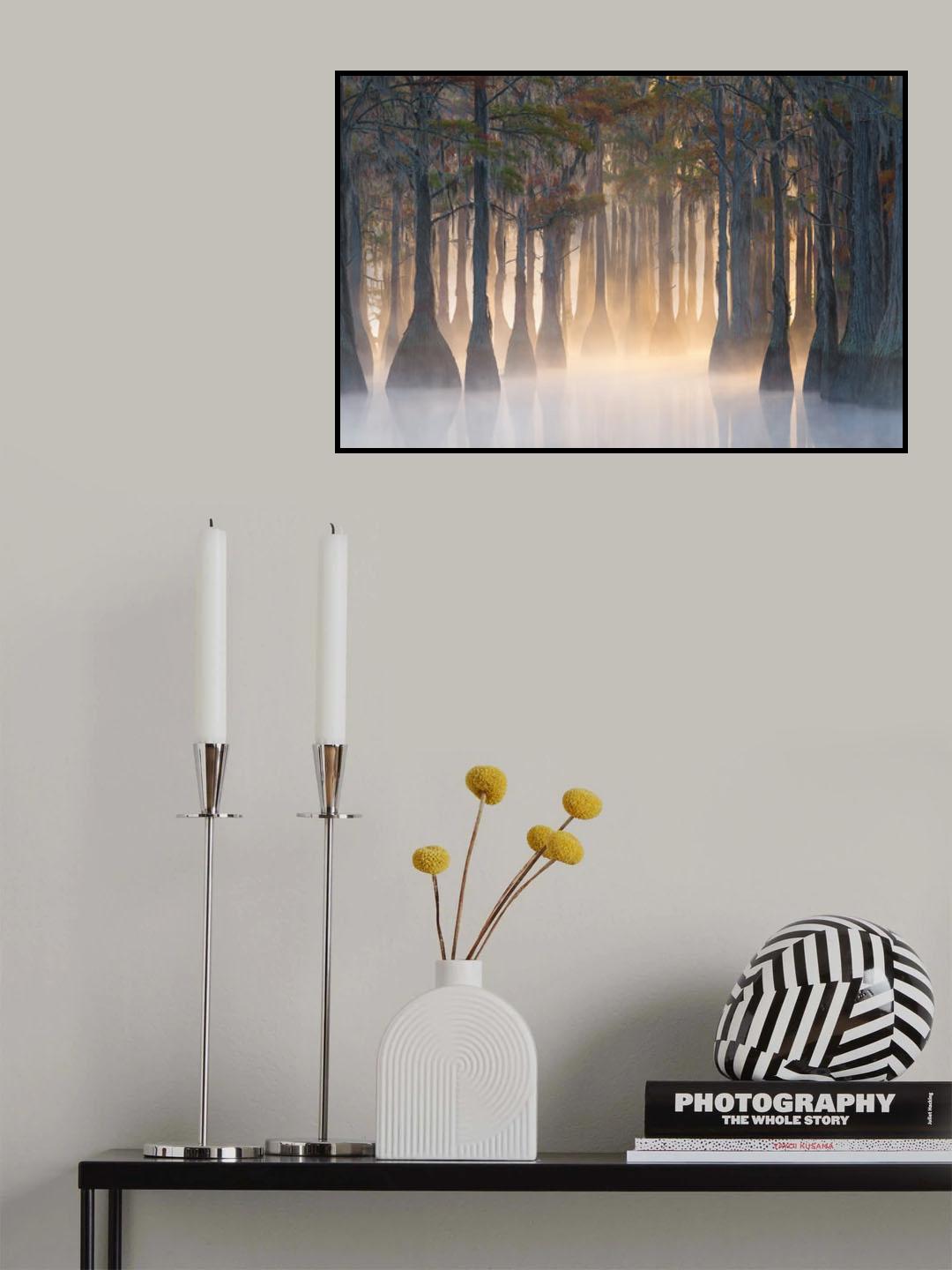The Light From Within Poster och Canvastavla