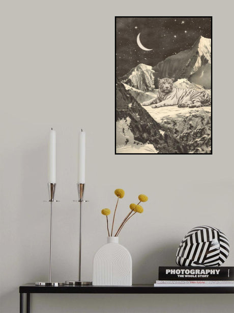 Giant White Tiger Poster och Canvastavla
