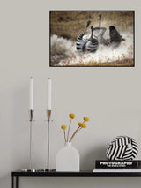 Dust bath Poster och Canvastavla
