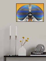 Poster och Canvastavla