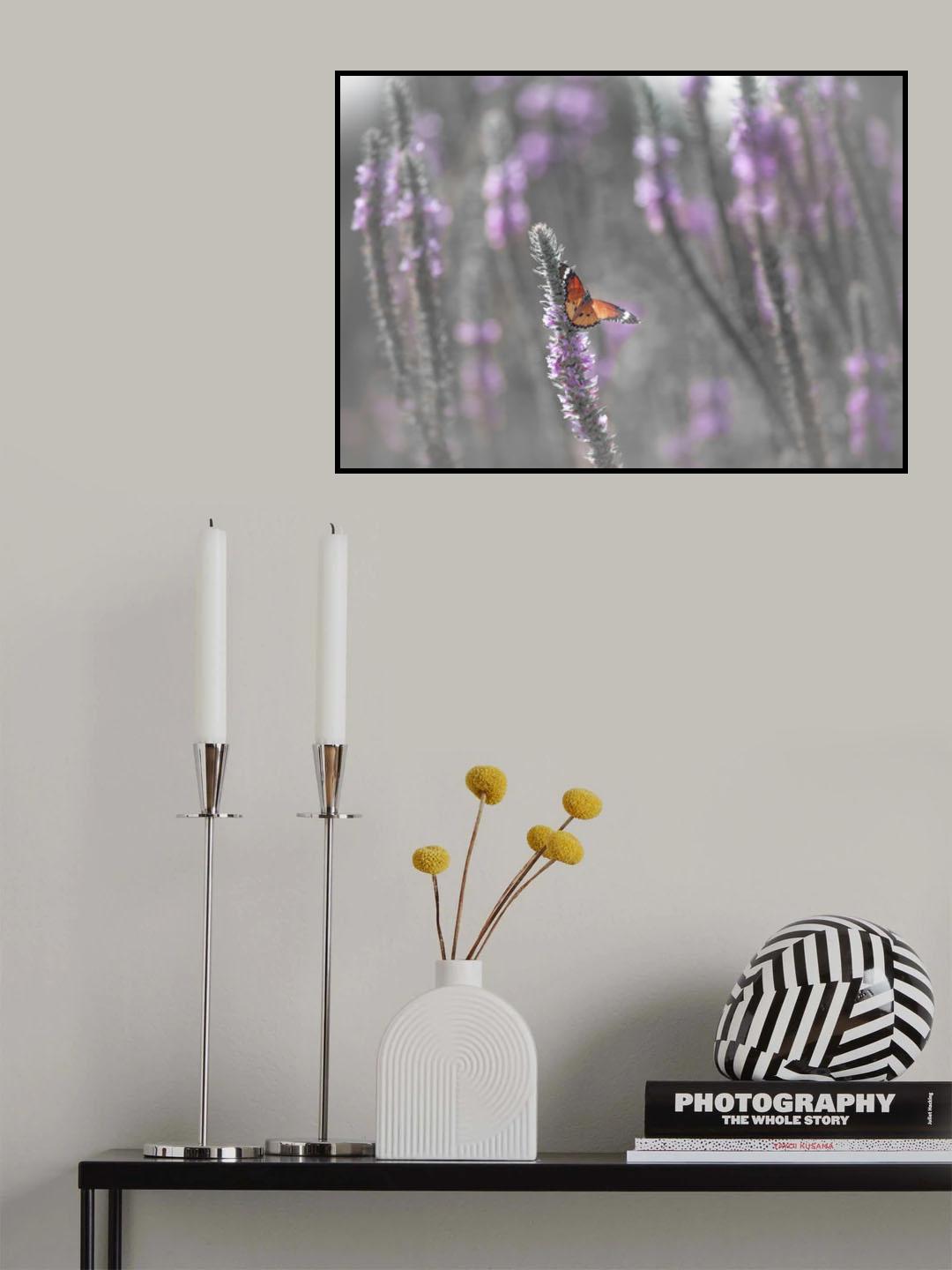 Butterfly in the morning light Poster och Canvastavla