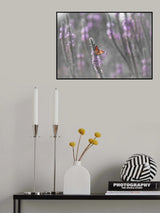 Butterfly in the morning light Poster och Canvastavla
