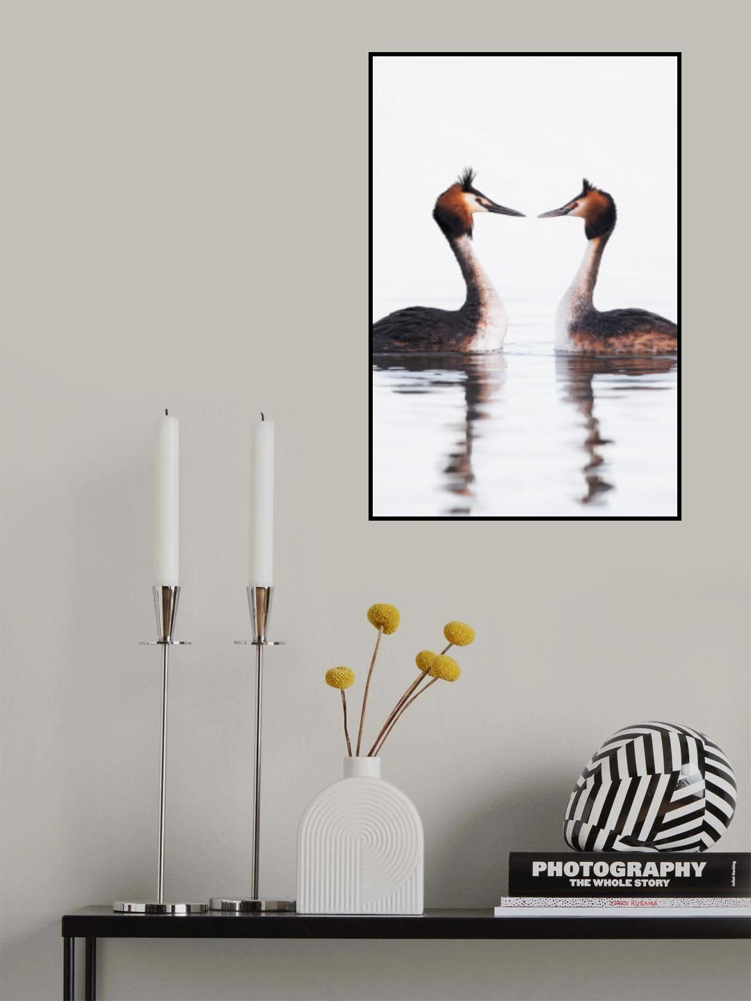 Loving glances Poster och Canvastavla