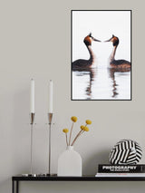 Loving glances Poster och Canvastavla