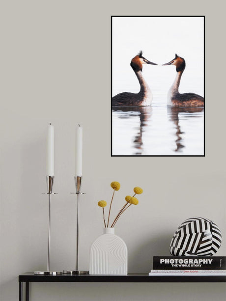 Loving glances Poster och Canvastavla
