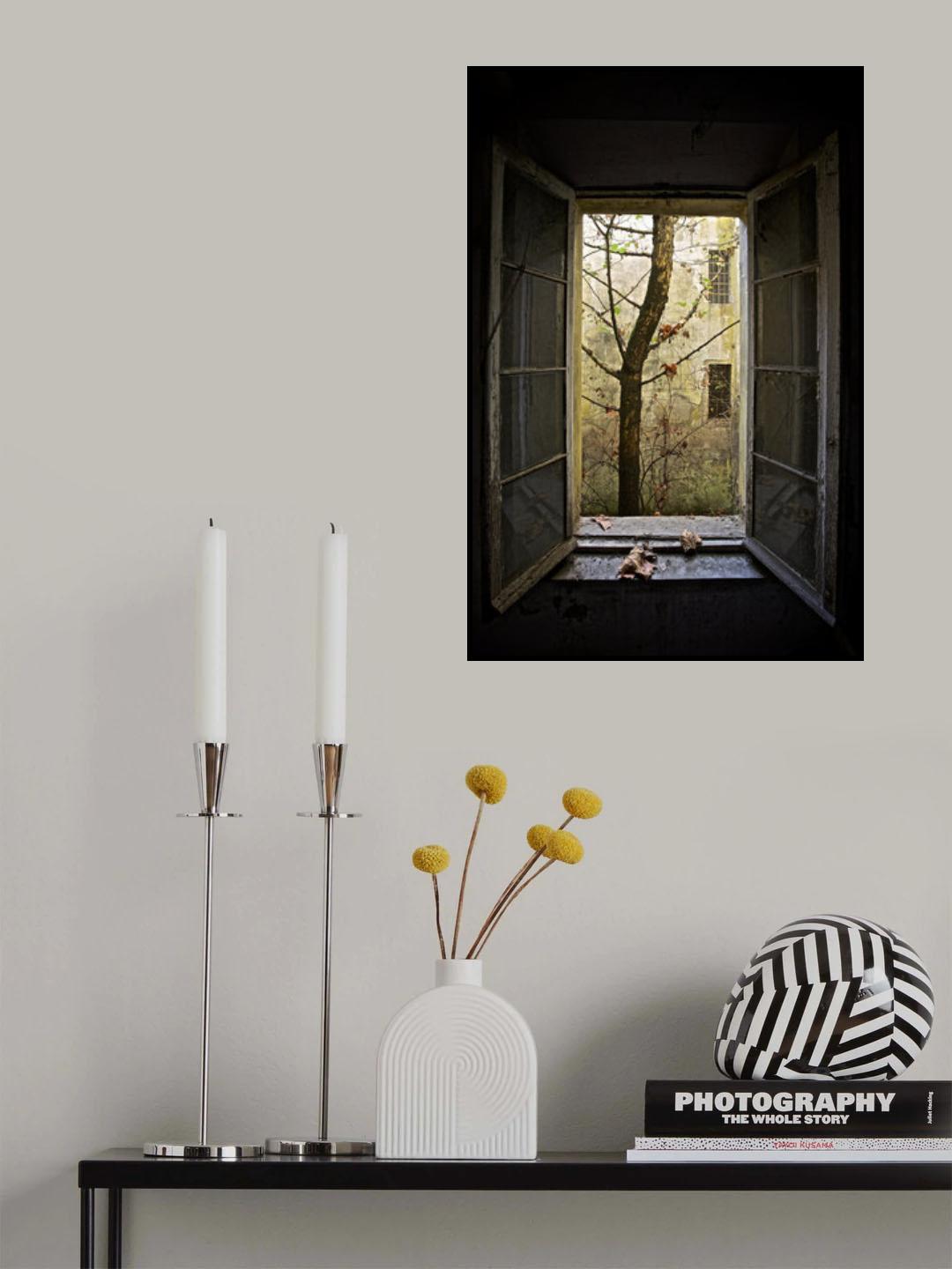 Autumn in asylum Poster och Canvastavla