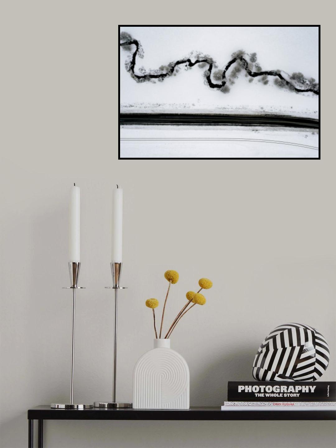 Snake Poster och Canvastavla