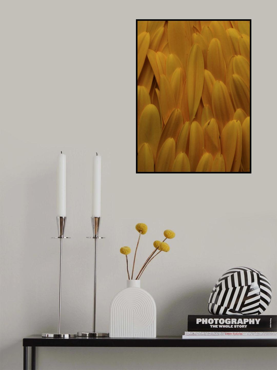 flower petals Poster och Canvastavla