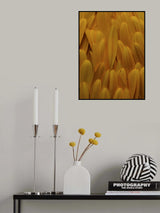flower petals Poster och Canvastavla