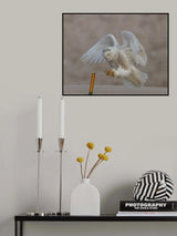 Almost there! Poster och Canvastavla