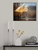 Early bird! Poster och Canvastavla