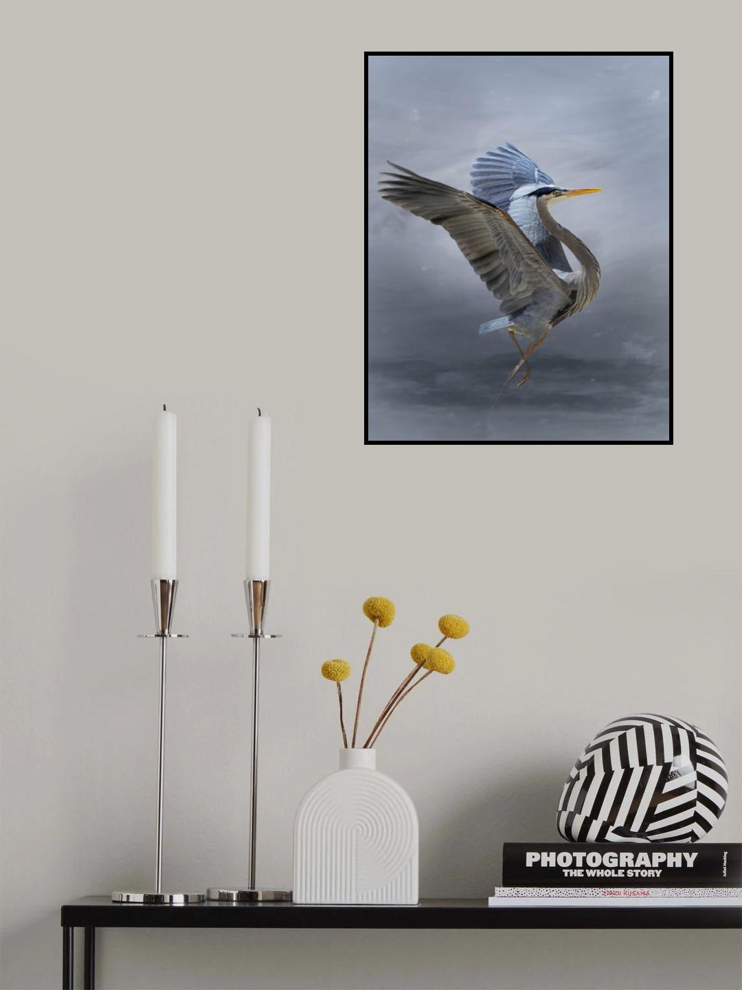 The Great Blue Heron Poster och Canvastavla