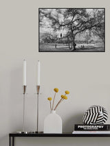 Mursi Composition Poster och Canvastavla