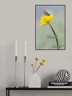 Fragile world Poster och Canvastavla