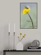 Fragile world Poster och Canvastavla